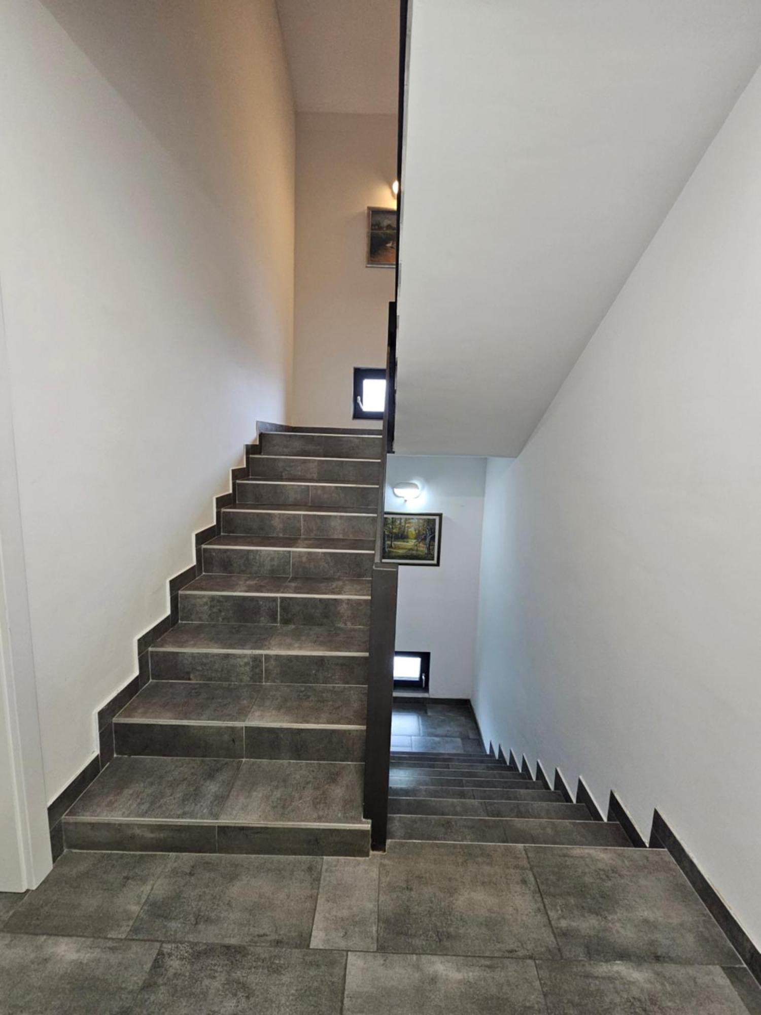 Filipovic Rent A Car & Apartments Selnica Scitarjevska Exterior foto