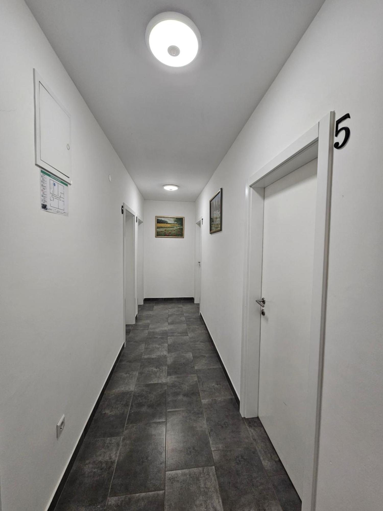 Filipovic Rent A Car & Apartments Selnica Scitarjevska Exterior foto