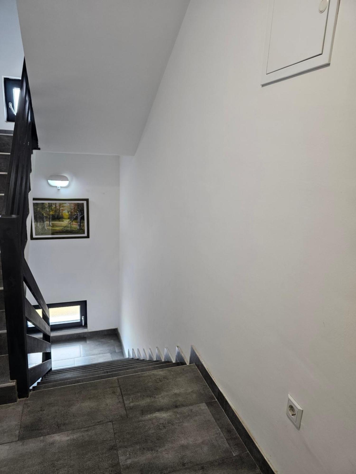 Filipovic Rent A Car & Apartments Selnica Scitarjevska Exterior foto